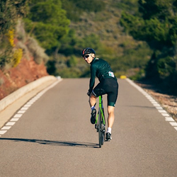 Bike Tours