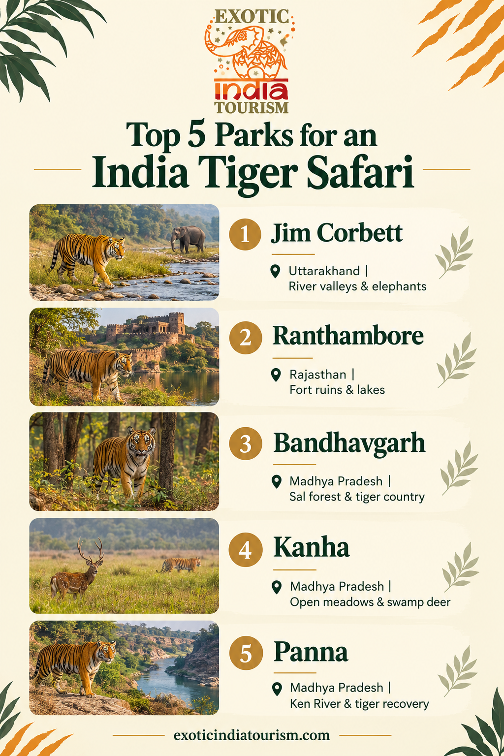 Infographic with the top India tiger safari parks, the safari experience and the best time to visit