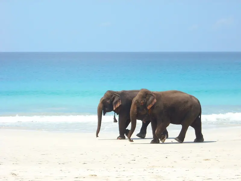 Goa beach holidays